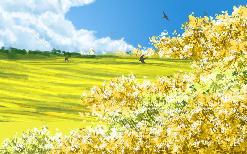 春季春天插画装饰油菜花田野天空背景,插画/手绘图,插画/手绘图库,插画/手绘图下载,插画/手绘